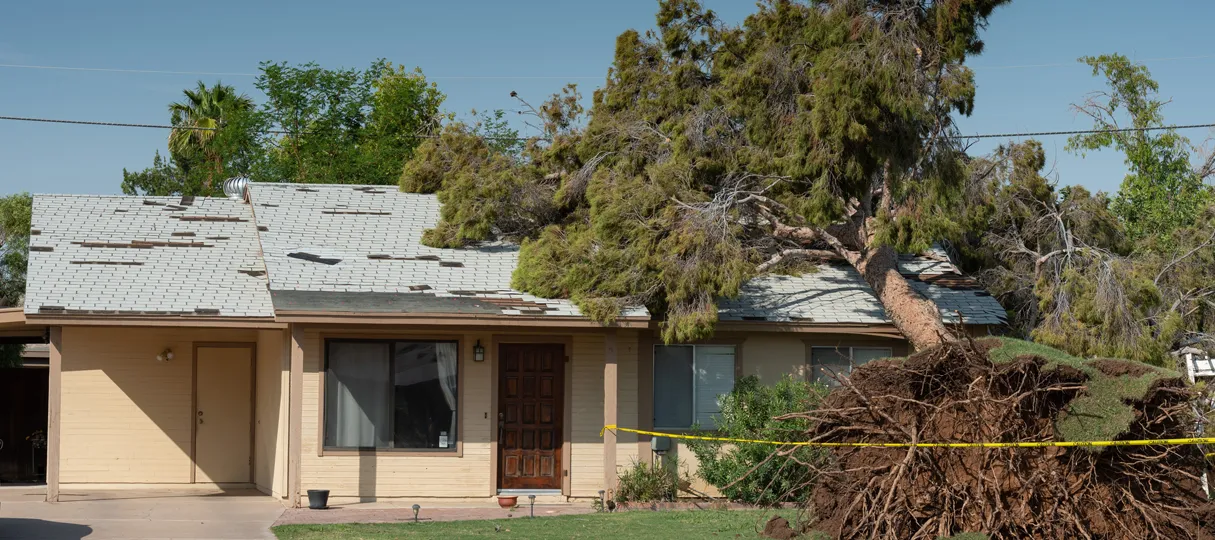 Roof Storm Damage
